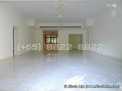 The Arcadia (D11), Condominium #68006162